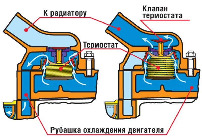Устройство термостата Устройство термостата