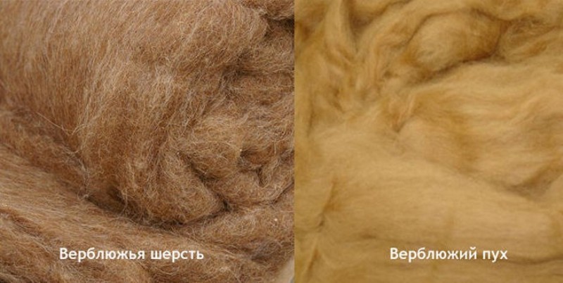 верблюжья шерсть и пух